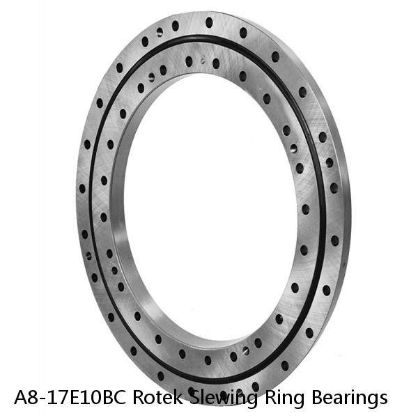 A8-17E10BC Rotek Slewing Ring Bearings