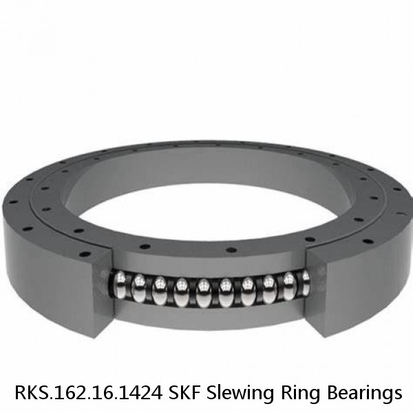 RKS.162.16.1424 SKF Slewing Ring Bearings
