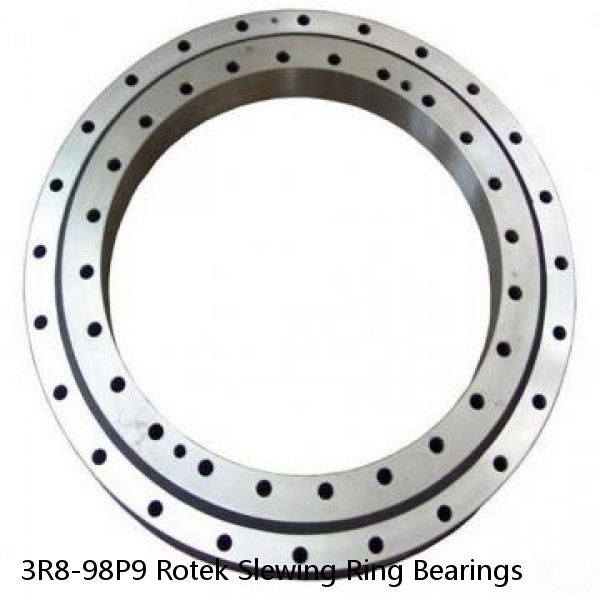 3R8-98P9 Rotek Slewing Ring Bearings