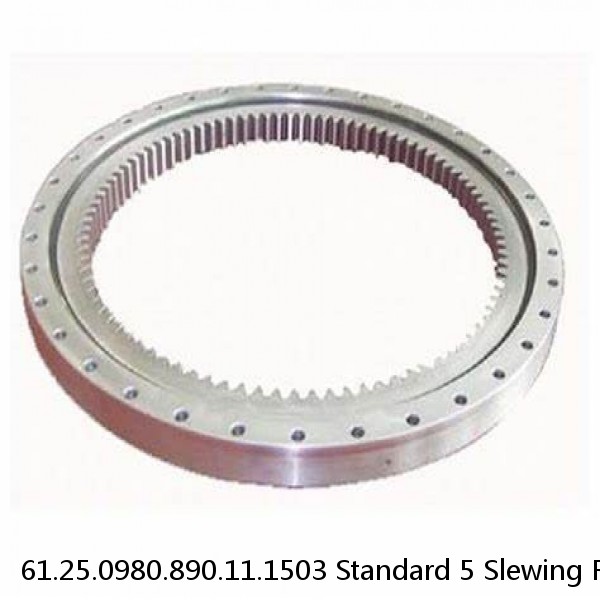 61.25.0980.890.11.1503 Standard 5 Slewing Ring Bearings